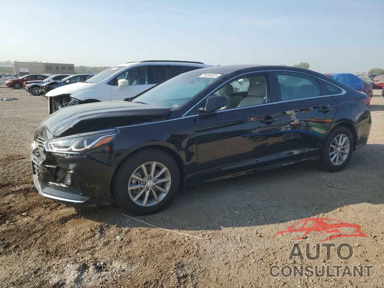 HYUNDAI SONATA 2019 - 5NPE24AF7KH817546