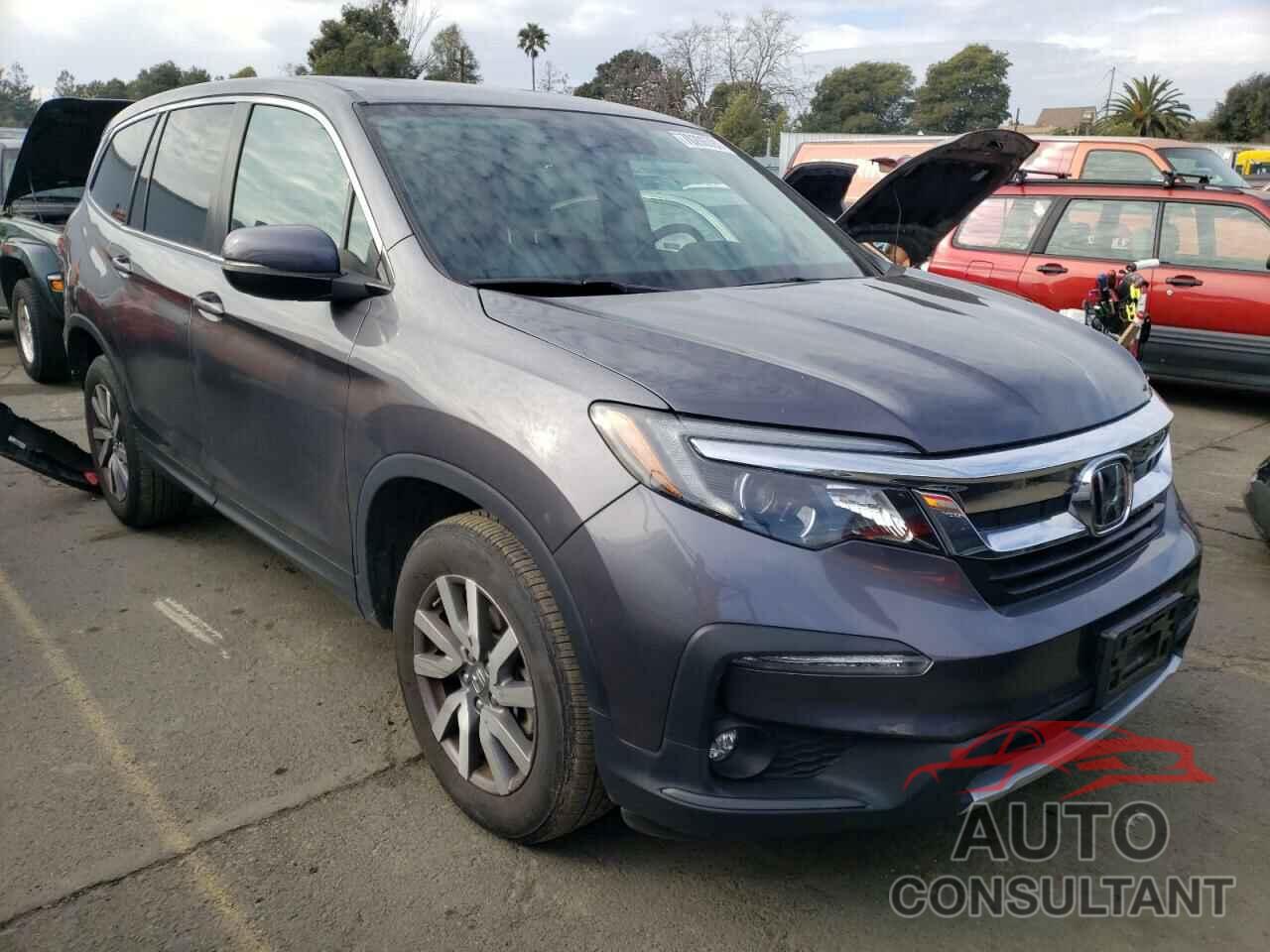 HONDA PILOT 2019 - 5FNYF6H52KB030321
