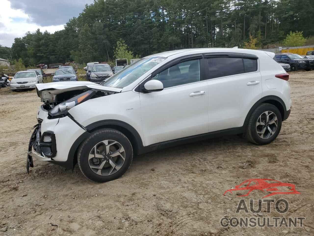 KIA SPORTAGE 2022 - KNDPMCAC9N7969209