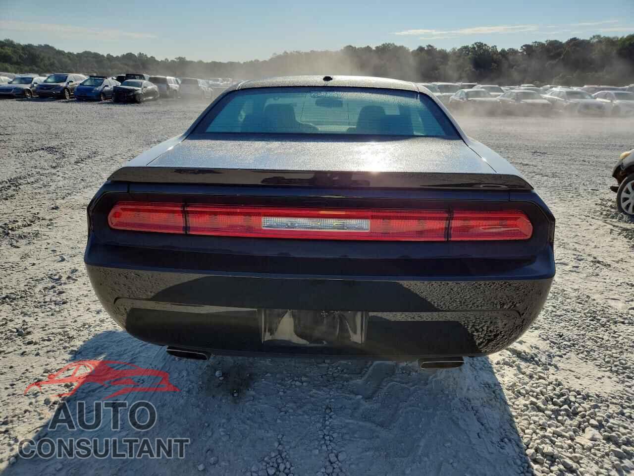 DODGE CHALLENGER 2014 - 2C3CDYBTXEH304113