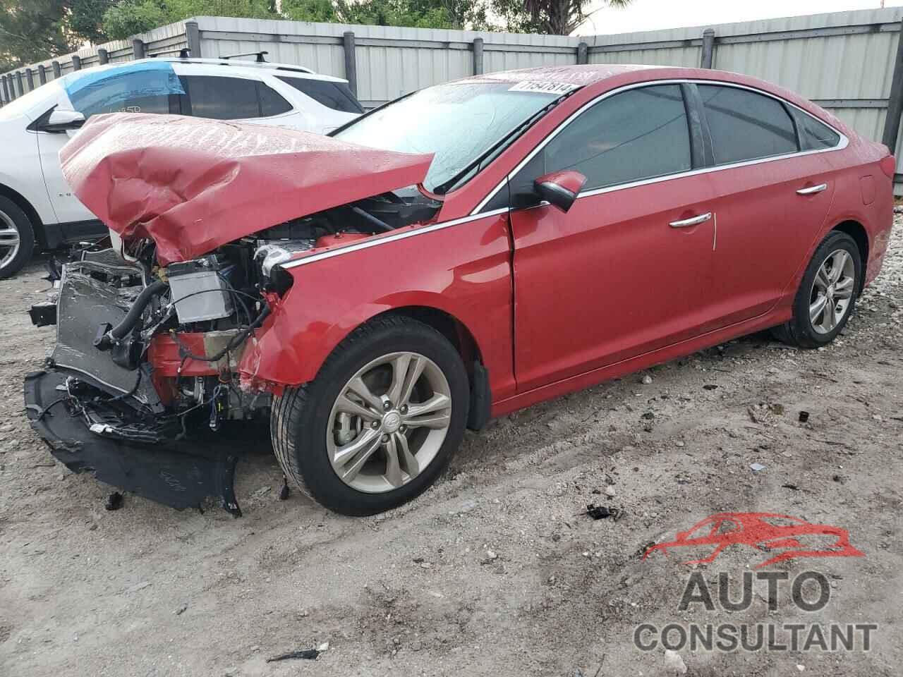 HYUNDAI SONATA 2019 - 5NPE34AF8KH806536