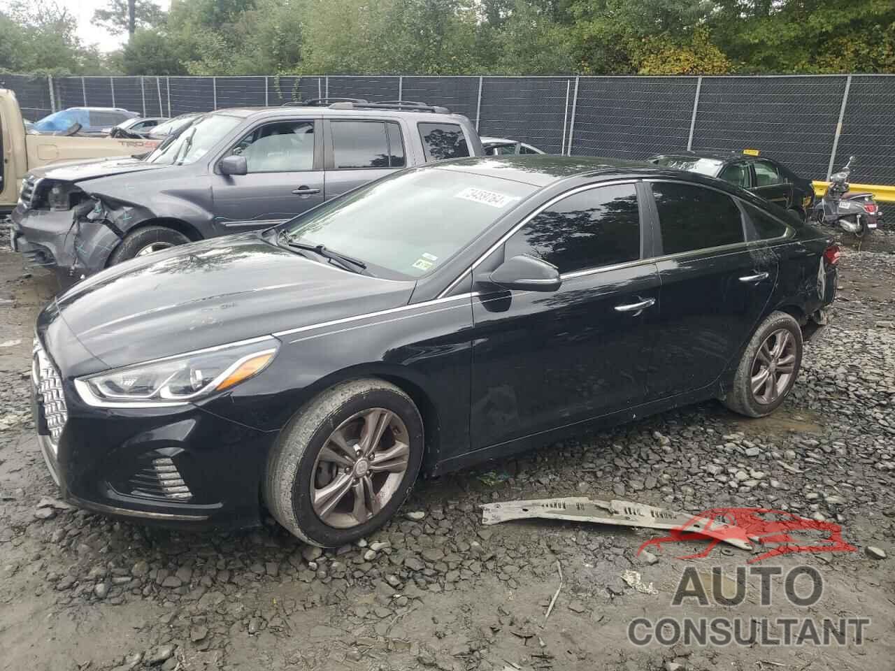 HYUNDAI SONATA 2019 - 5NPE34AF3KH783764