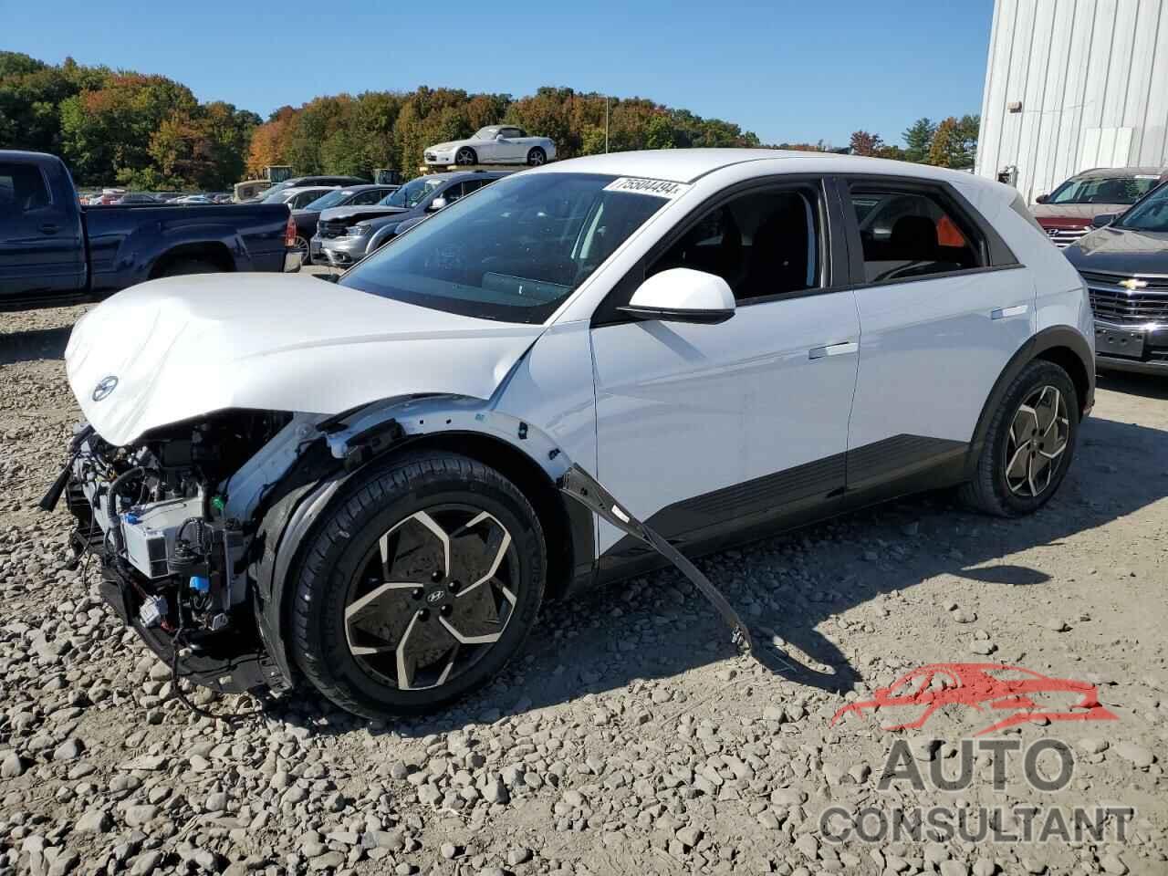 HYUNDAI IONIQ 2024 - KM8KNDDF3RU307891
