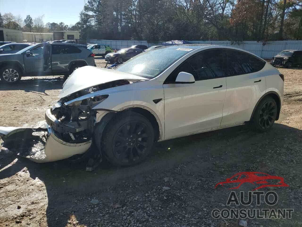 TESLA MODEL Y 2021 - 5YJYGDEE3MF085059