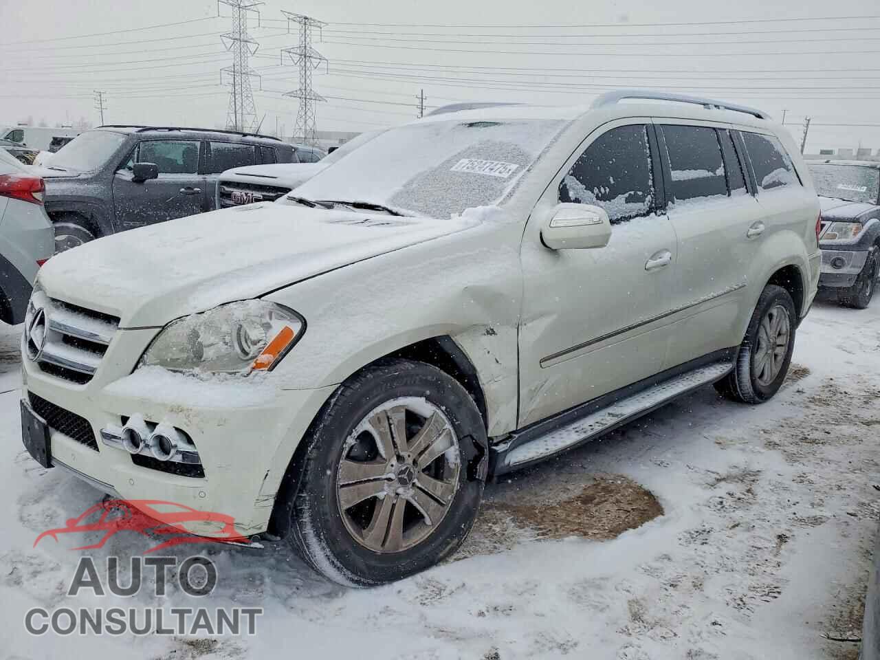 MERCEDES-BENZ GL-CLASS 2010 - 4JGBF7BE4AA601637