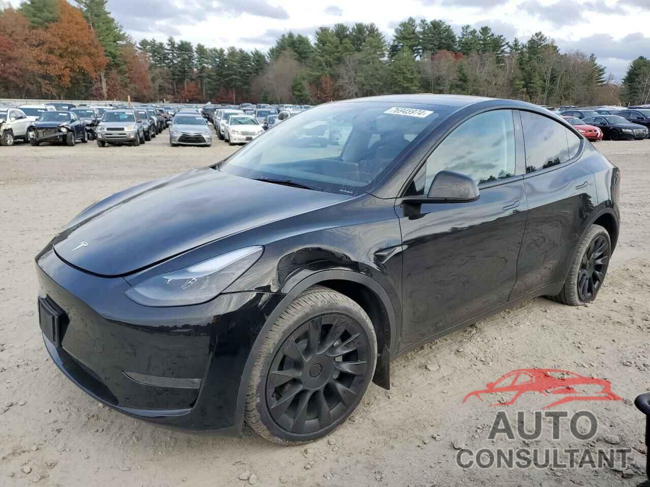 TESLA MODEL Y 2024 - 7SAYGDEE6RA218503