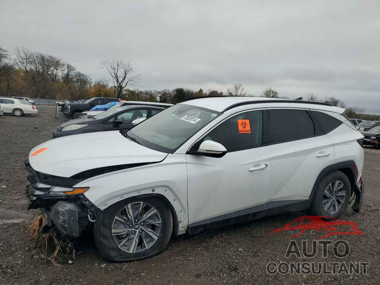 HYUNDAI TUCSON 2023 - KM8JBCA15PU116879