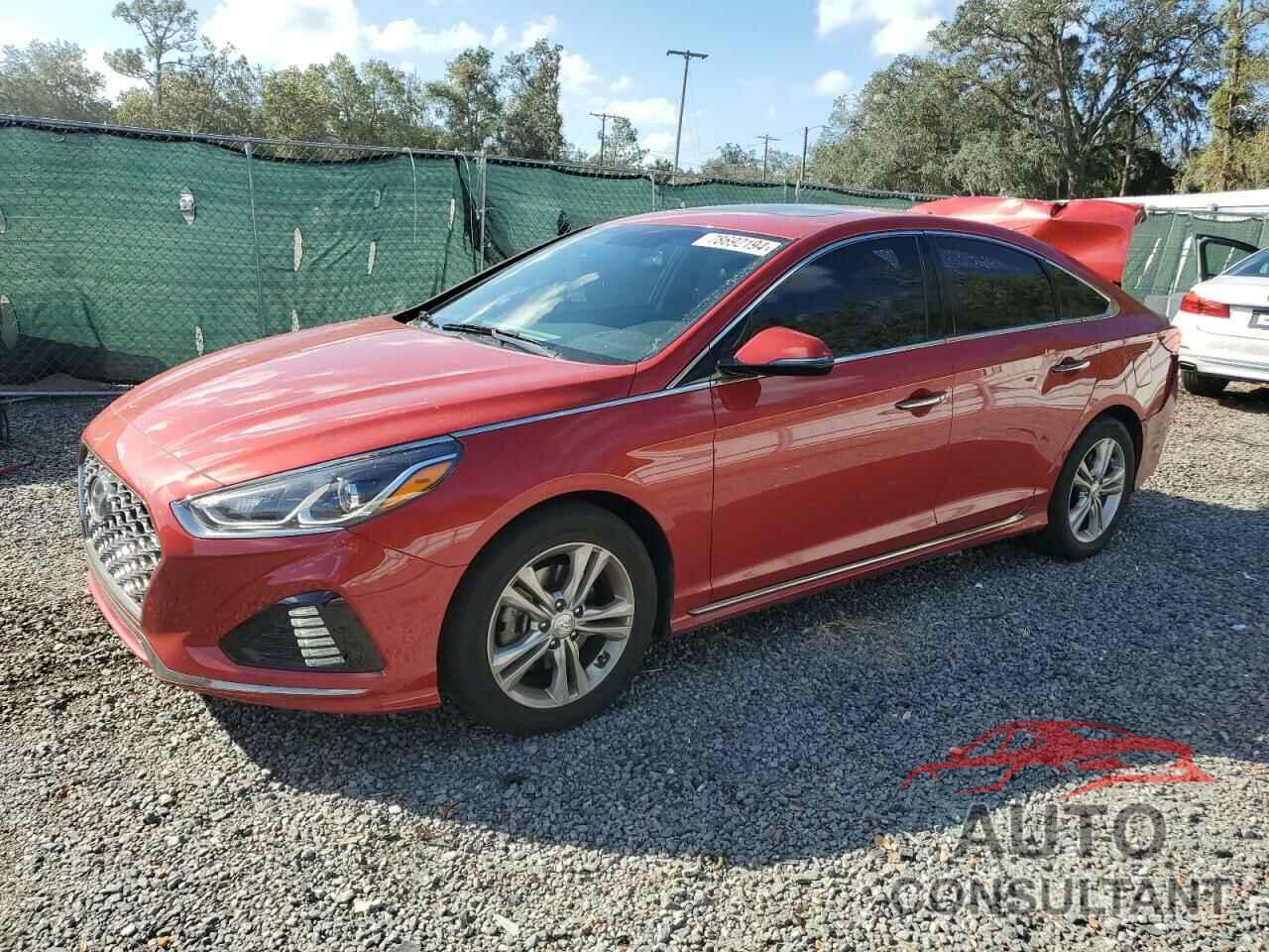 HYUNDAI SONATA 2019 - 5NPE34AF9KH808893