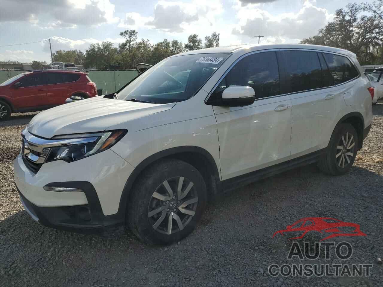 HONDA PILOT 2019 - 5FNYF6H52KB055333