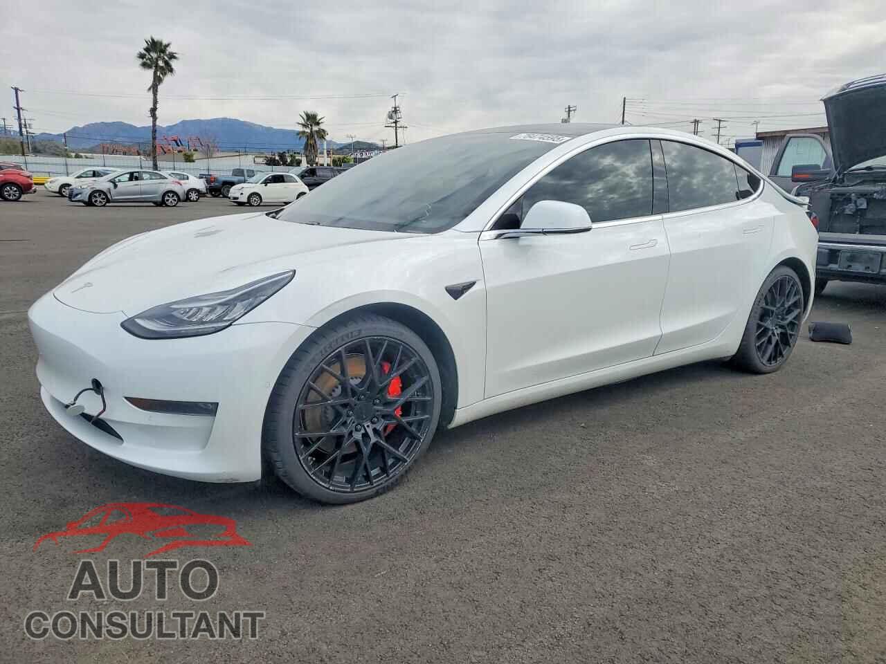 TESLA MODEL 3 2019 - 5YJ3E1EB8KF393748