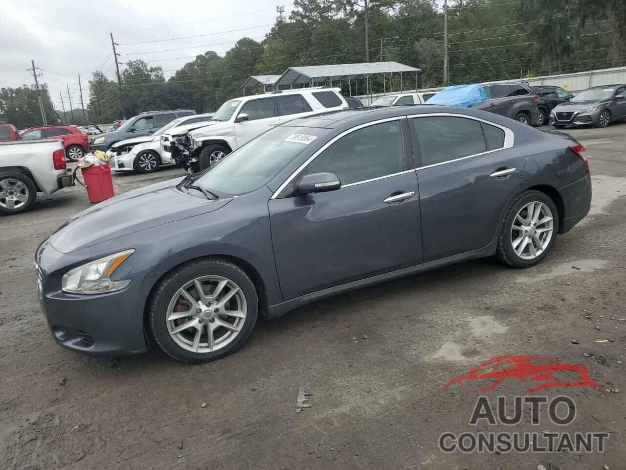 NISSAN MAXIMA 2009 - 1N4AA51E49C828336