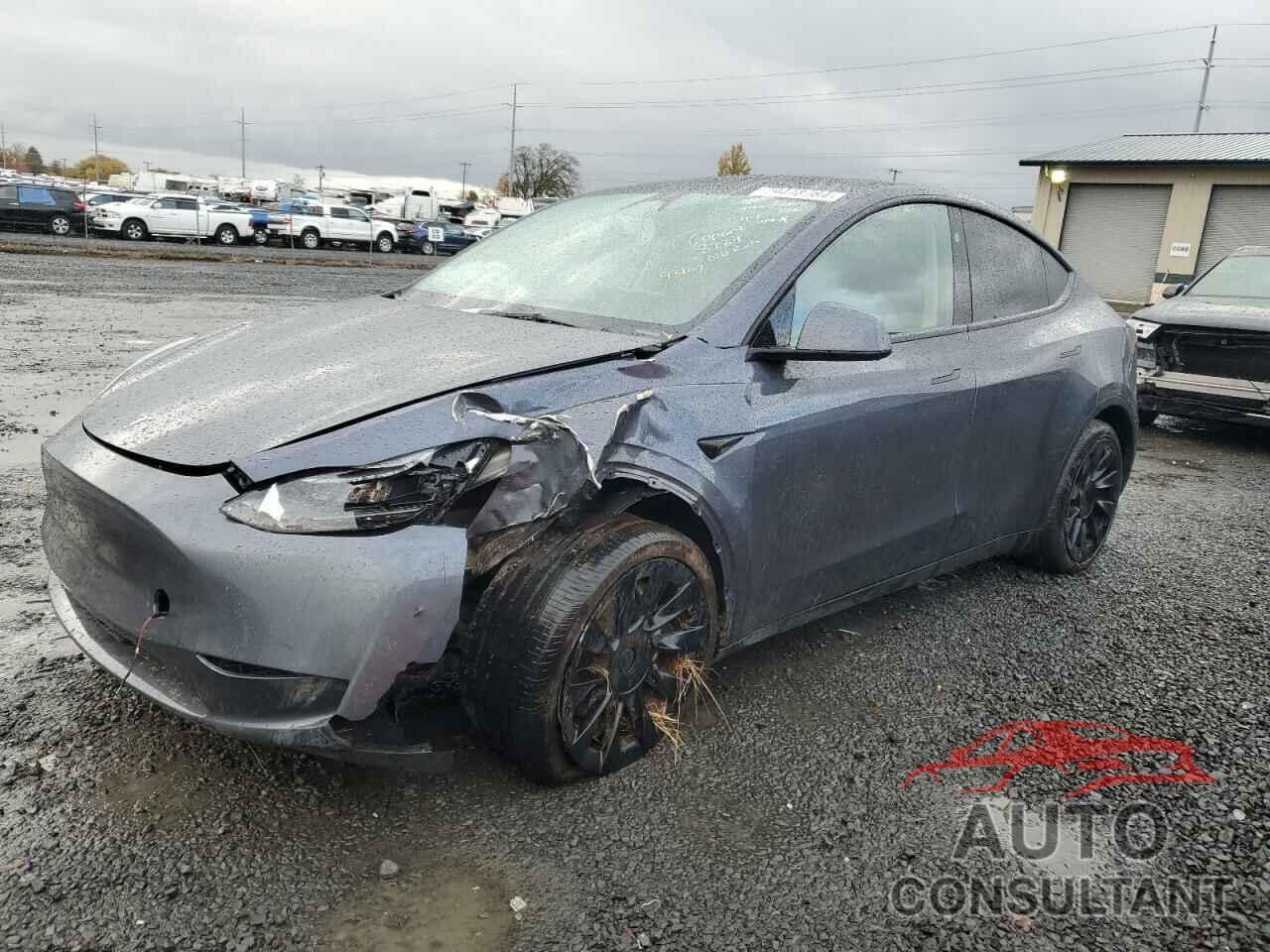TESLA MODEL Y 2023 - 7SAYGDEE5PF813911