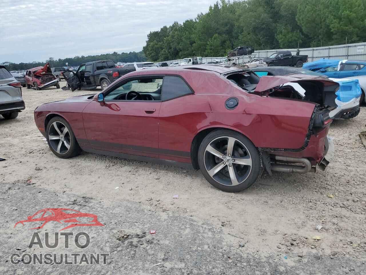 DODGE CHALLENGER 2019 - 2C3CDZAG2KH623219