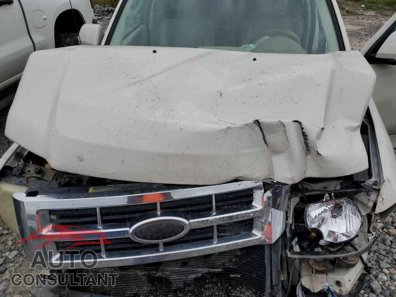 FORD ESCAPE 2010 - 1FMCU0EG6AKC58662