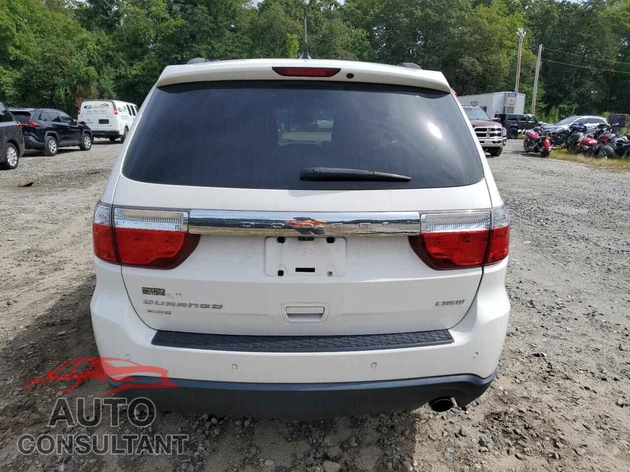 DODGE DURANGO 2011 - 1D4RE4GG1BC667716