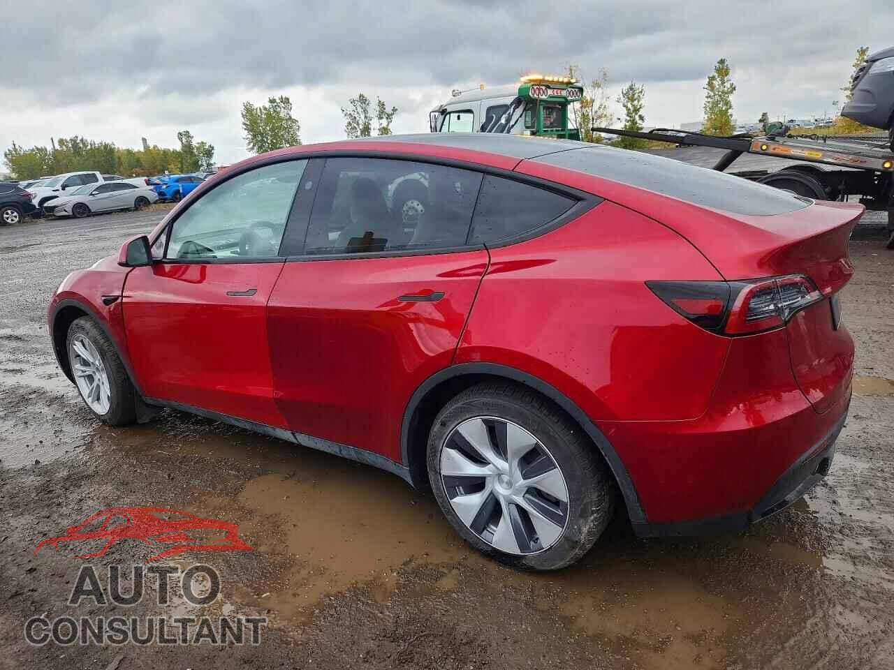 TESLA MODEL Y 2024 - 7SAYGDEE3RF081071