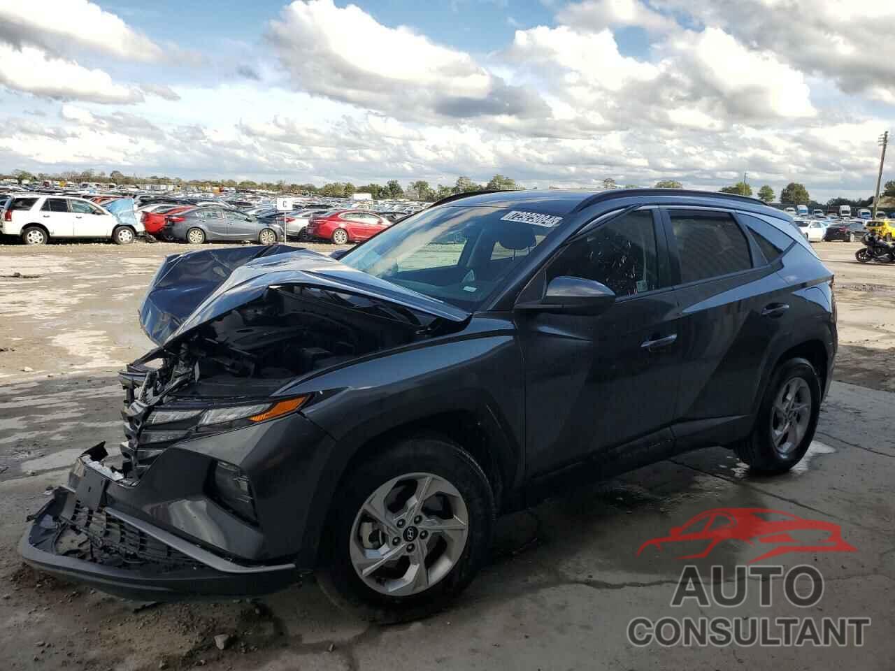 HYUNDAI TUCSON 2024 - 5NMJBCDE7RH358070