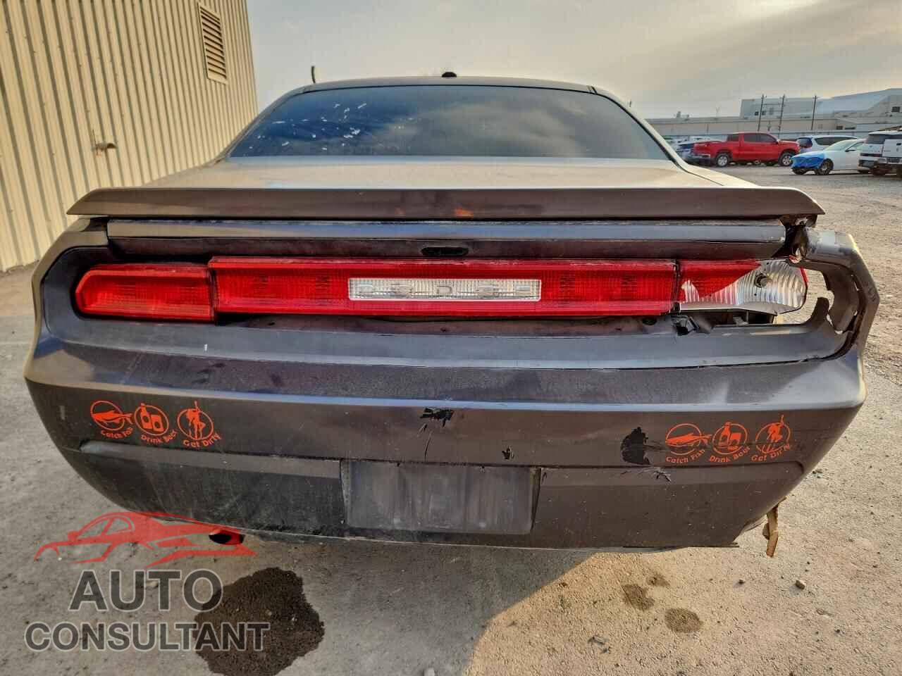 DODGE CHALLENGER 2013 - 2C3CDYAG0DH675977