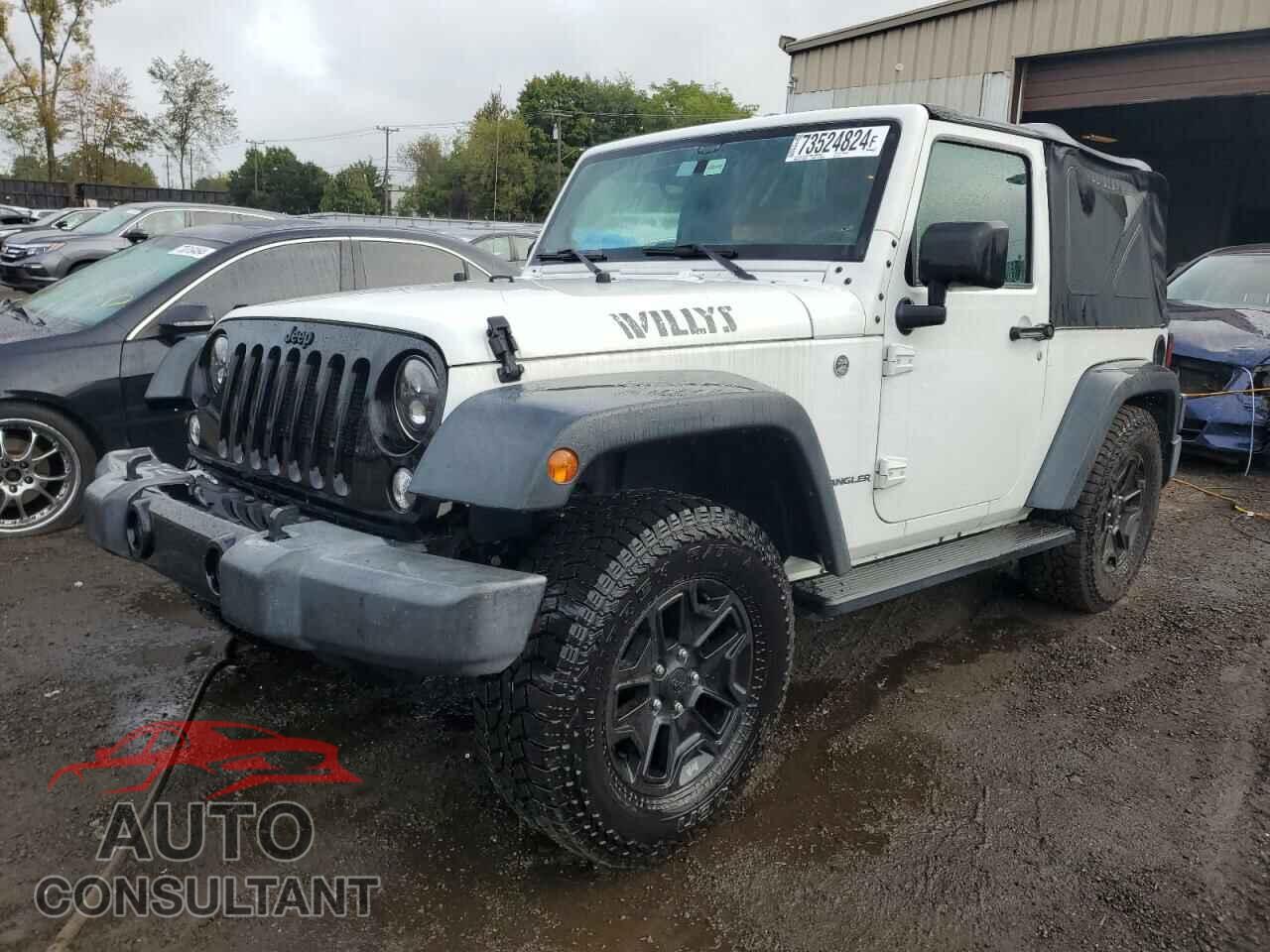 JEEP WRANGLER 2016 - 1C4AJWAG2GL224721