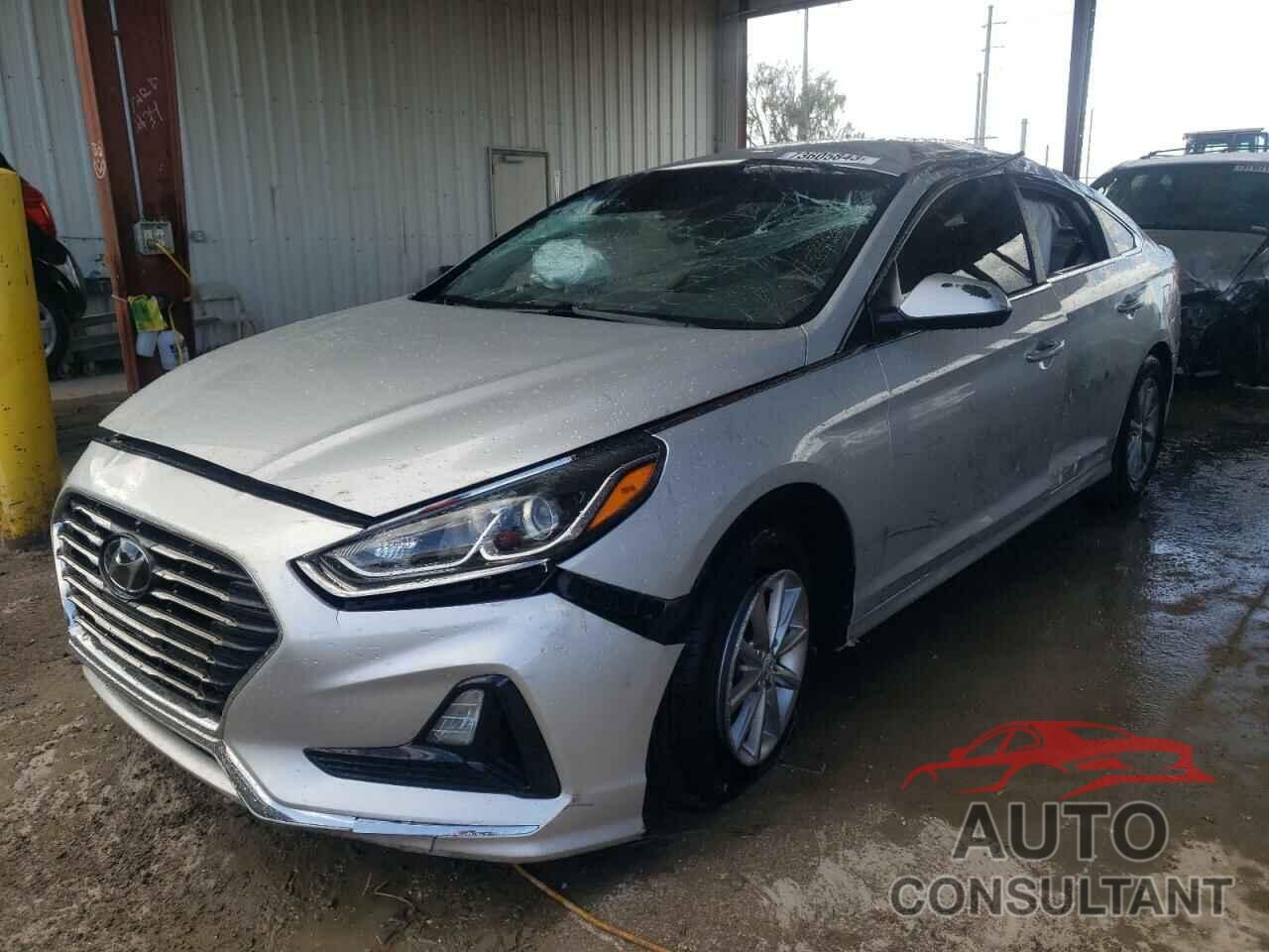 HYUNDAI SONATA 2019 - 5NPE24AF8KH761973