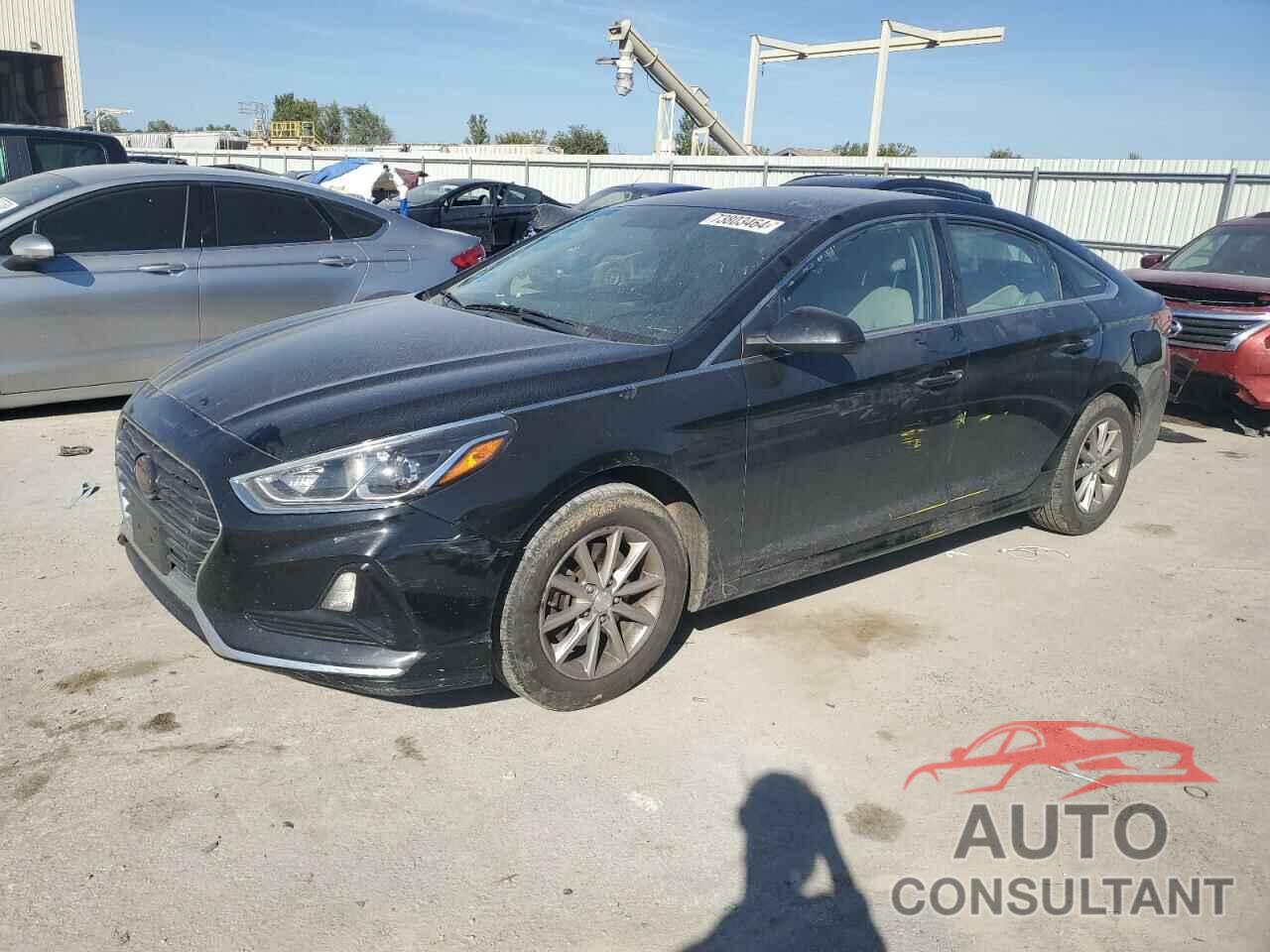 HYUNDAI SONATA 2019 - 5NPE24AF9KH741831