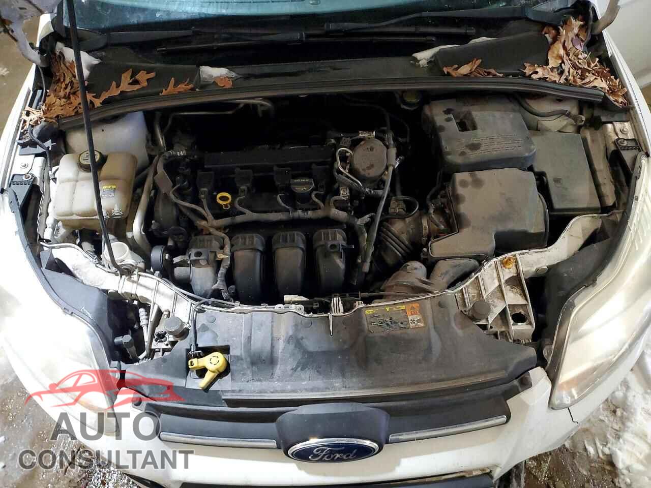 FORD FOCUS 2012 - 1FAHP3E28CL118686