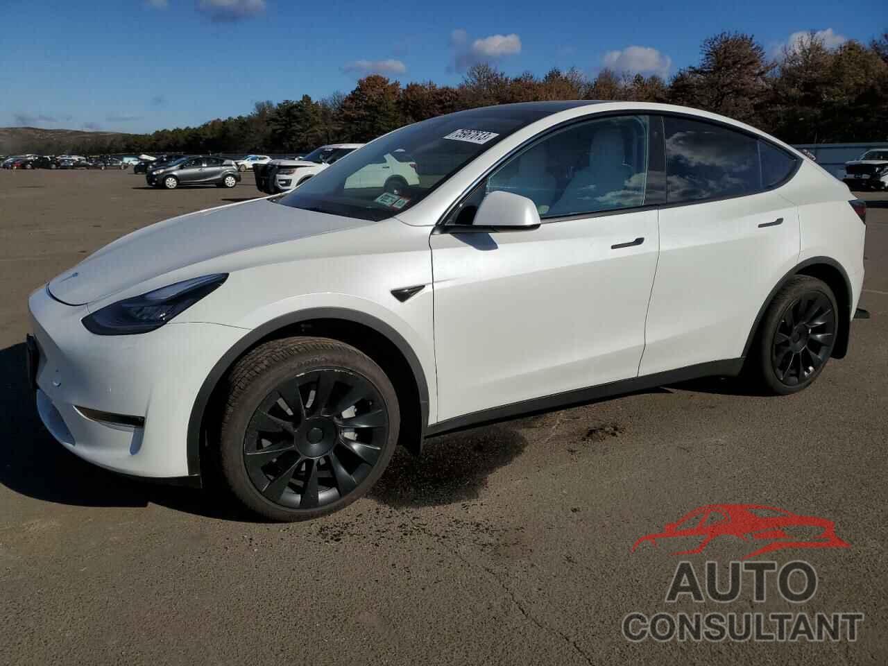 TESLA MODEL Y 2022 - 7SAYGDEE2NF511781