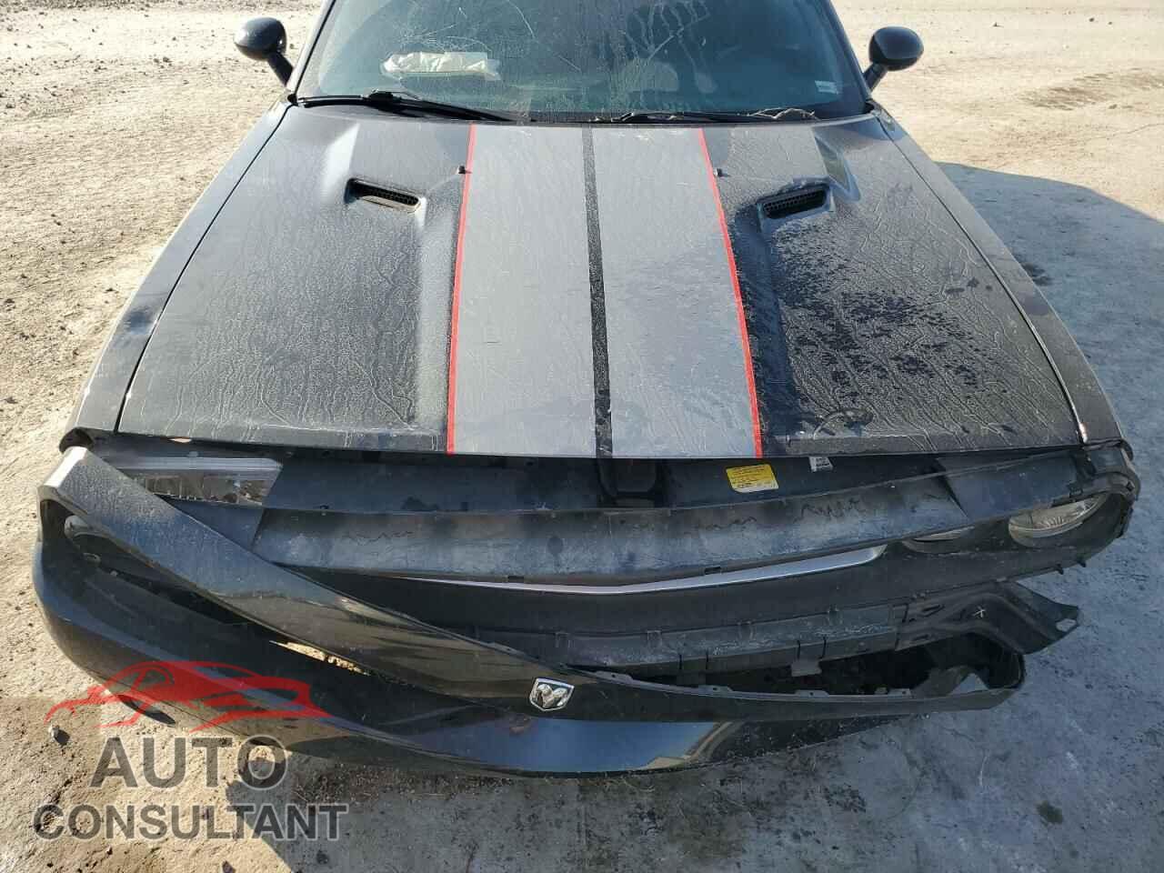 DODGE CHALLENGER 2010 - 2B3CJ4DV0AH102498