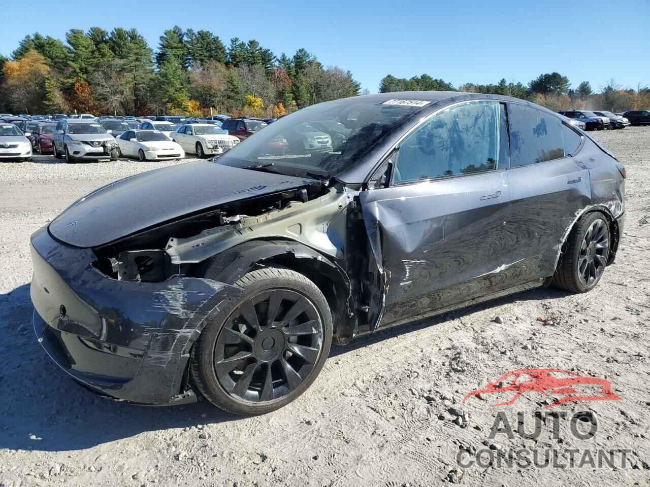 TESLA MODEL Y 2024 - 7SAYGDED2RF018759