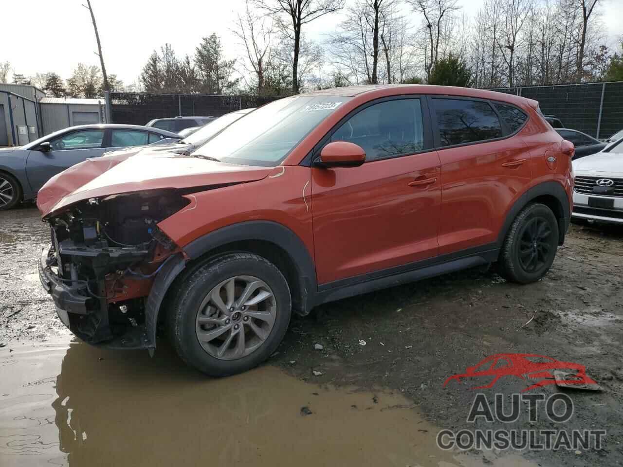 HYUNDAI TUCSON 2017 - KM8J23A46HU538431