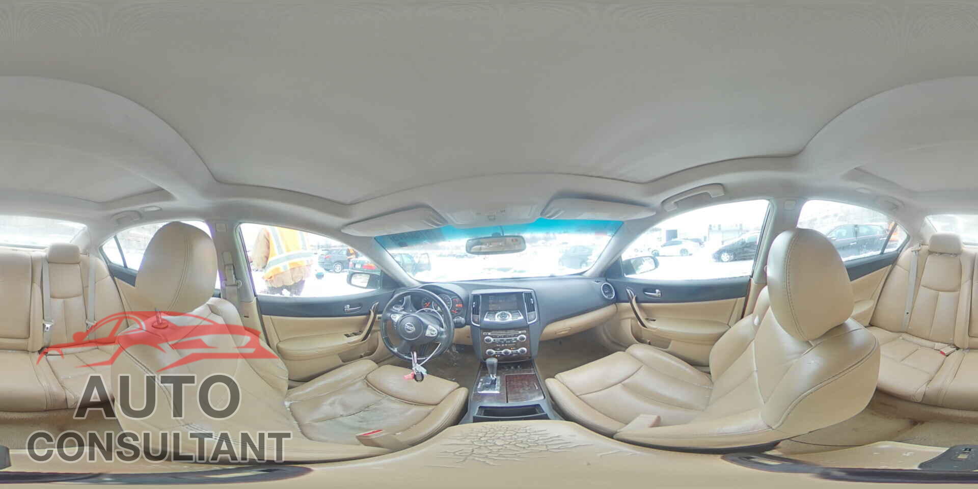NISSAN MAXIMA 2009 - 1N4AA51E19C823210