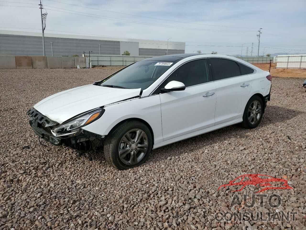 HYUNDAI SONATA 2019 - 5NPE34AF0KH790798