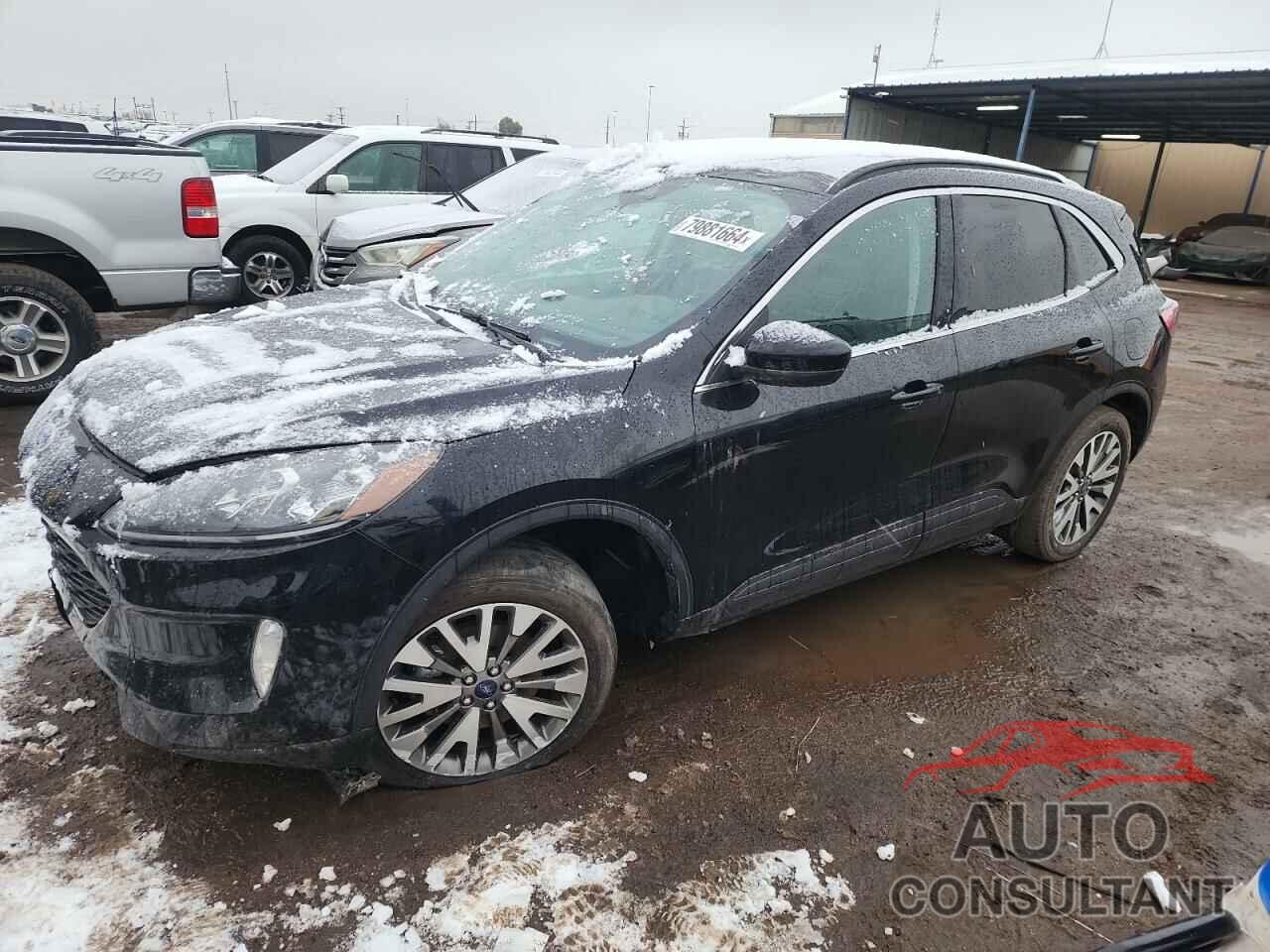 FORD ESCAPE 2021 - 1FMCU0DZ7MUA37521