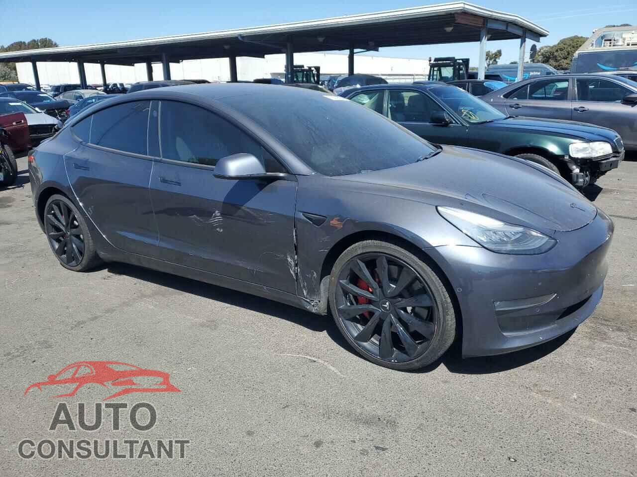TESLA MODEL 3 2019 - 5YJ3E1EB3KF393401