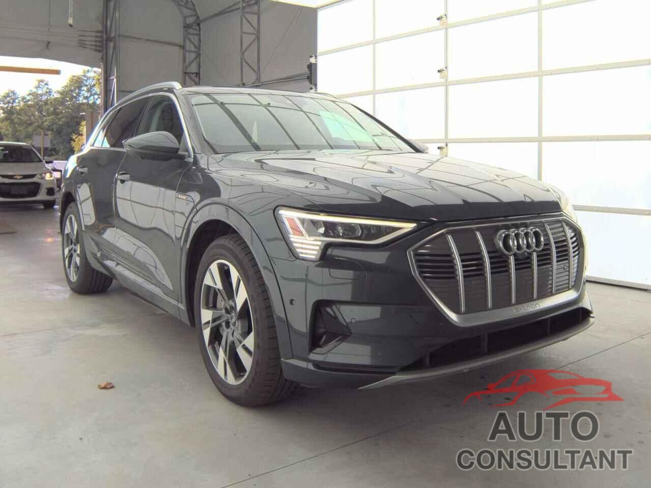 AUDI E-TRON 2022 - WA1LAAGE2NB013811