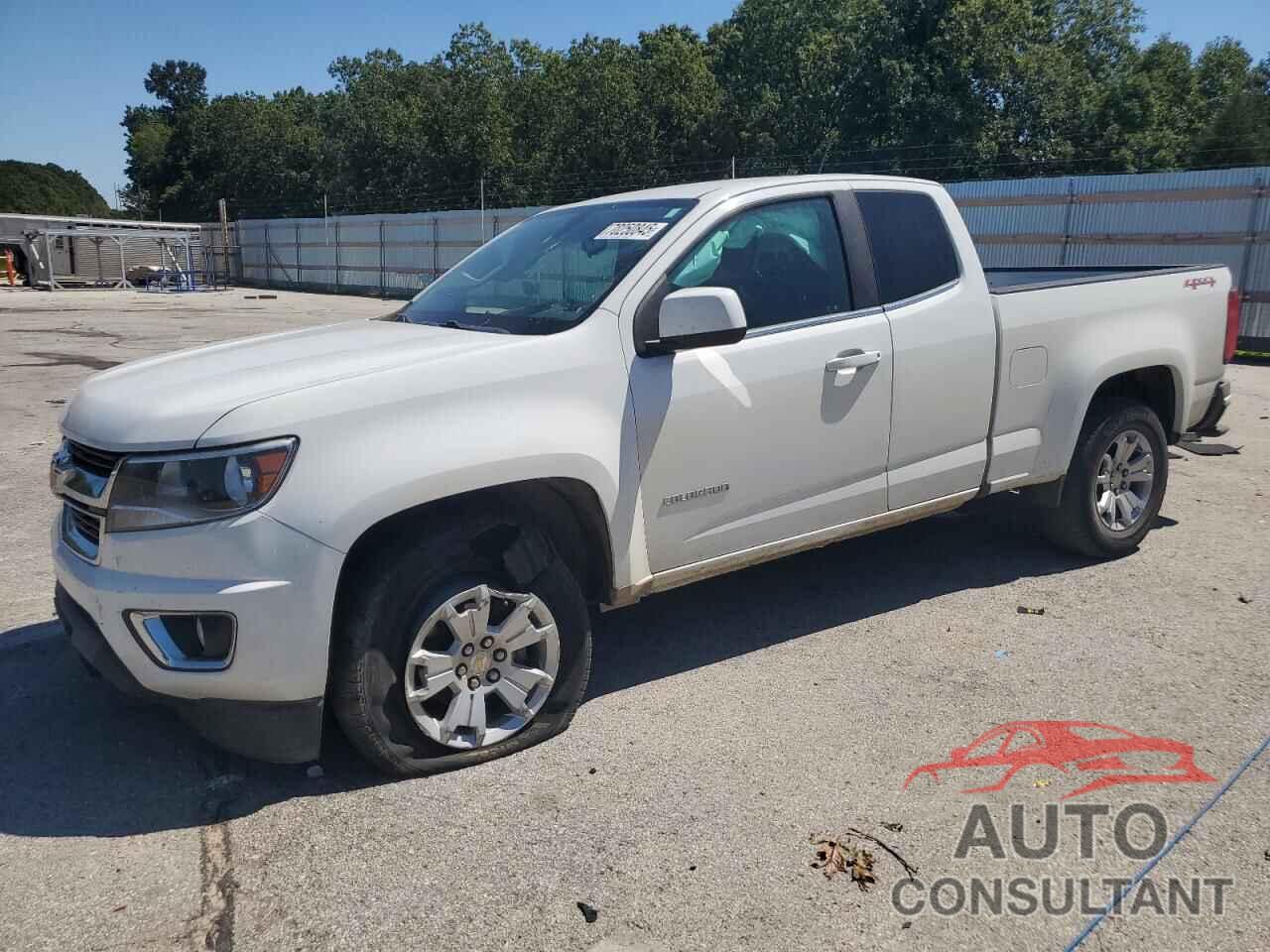 CHEVROLET COLORADO 2019 - 1GCHTCEA3K1315224