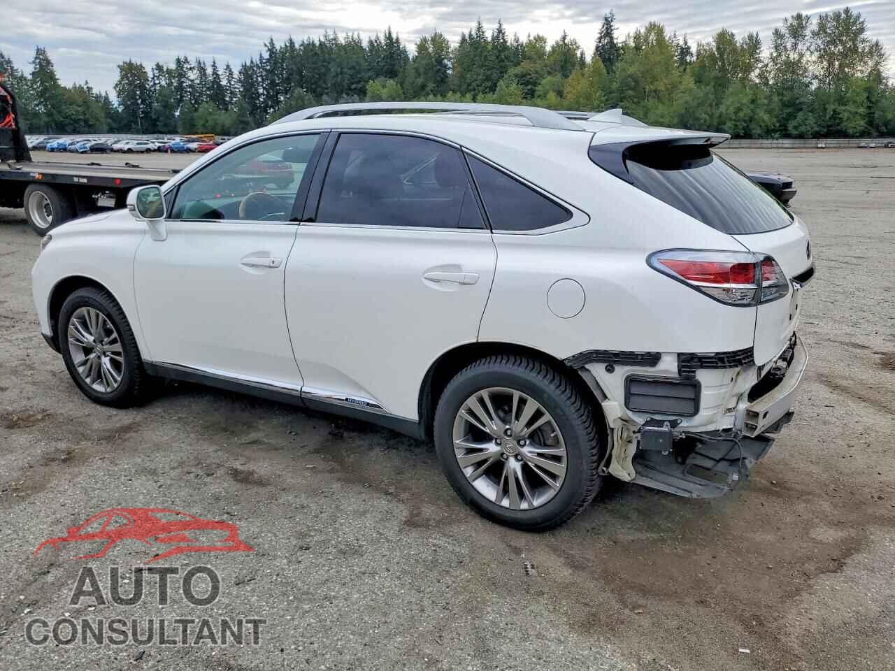 LEXUS RX450 2014 - JTJBC1BA1E2067324