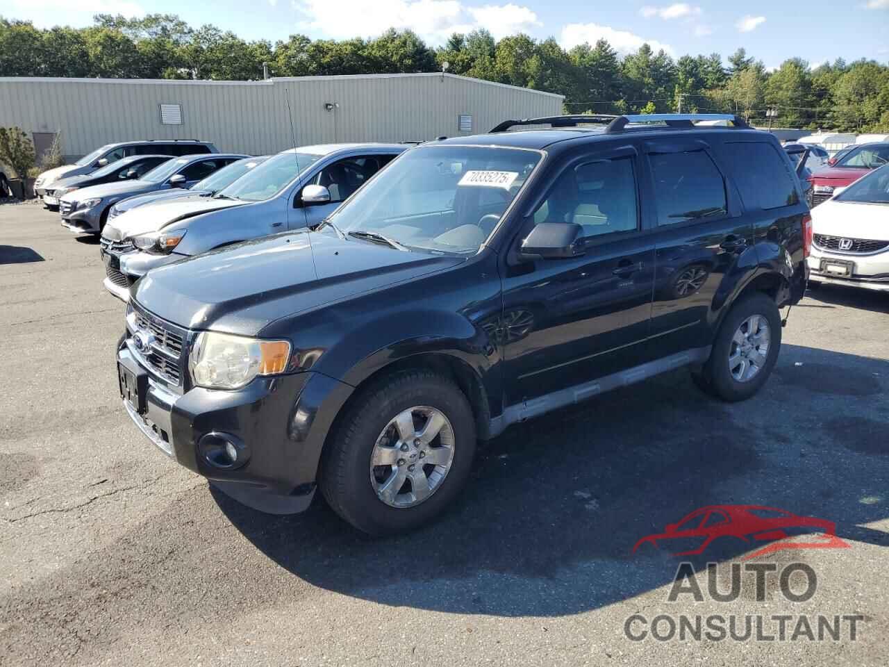 FORD ESCAPE 2011 - 1FMCU9EG1BKA99006
