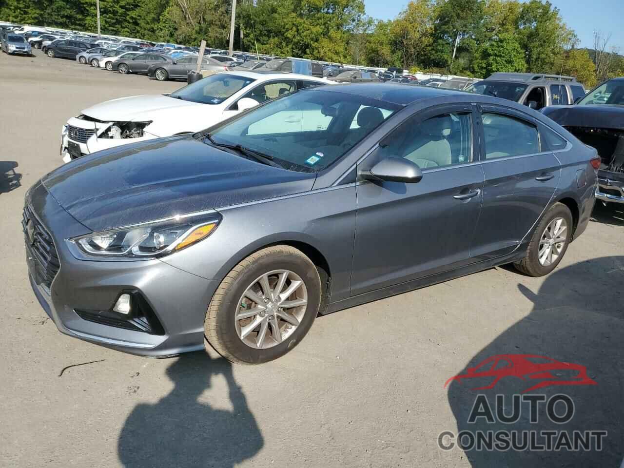 HYUNDAI SONATA 2018 - 5NPE24AF0JH696311