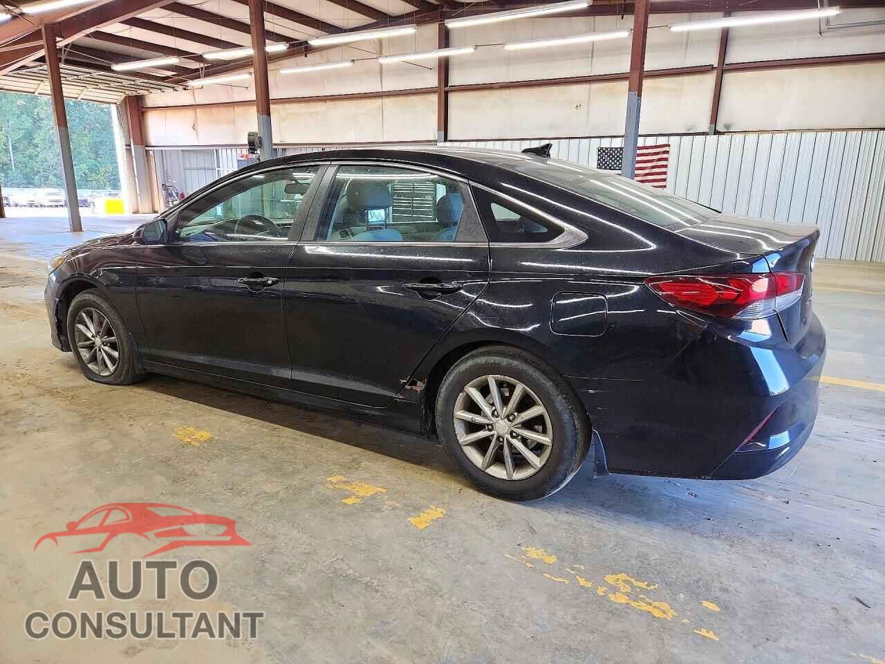 HYUNDAI SONATA 2019 - 5NPE24AF9KH732448