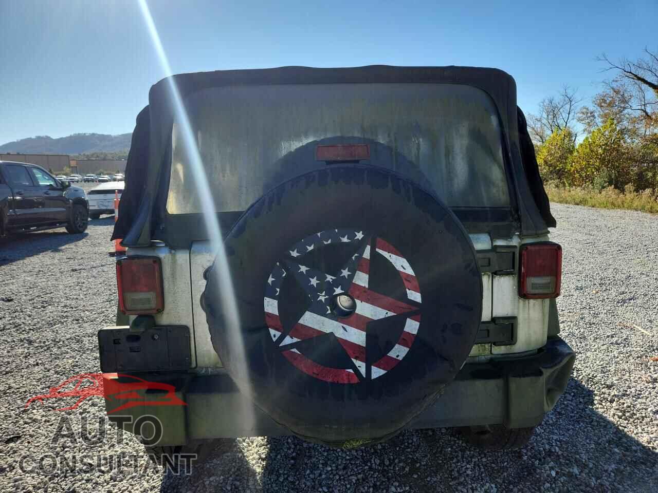 JEEP WRANGLER 2011 - 1J4AA2D13BL541698