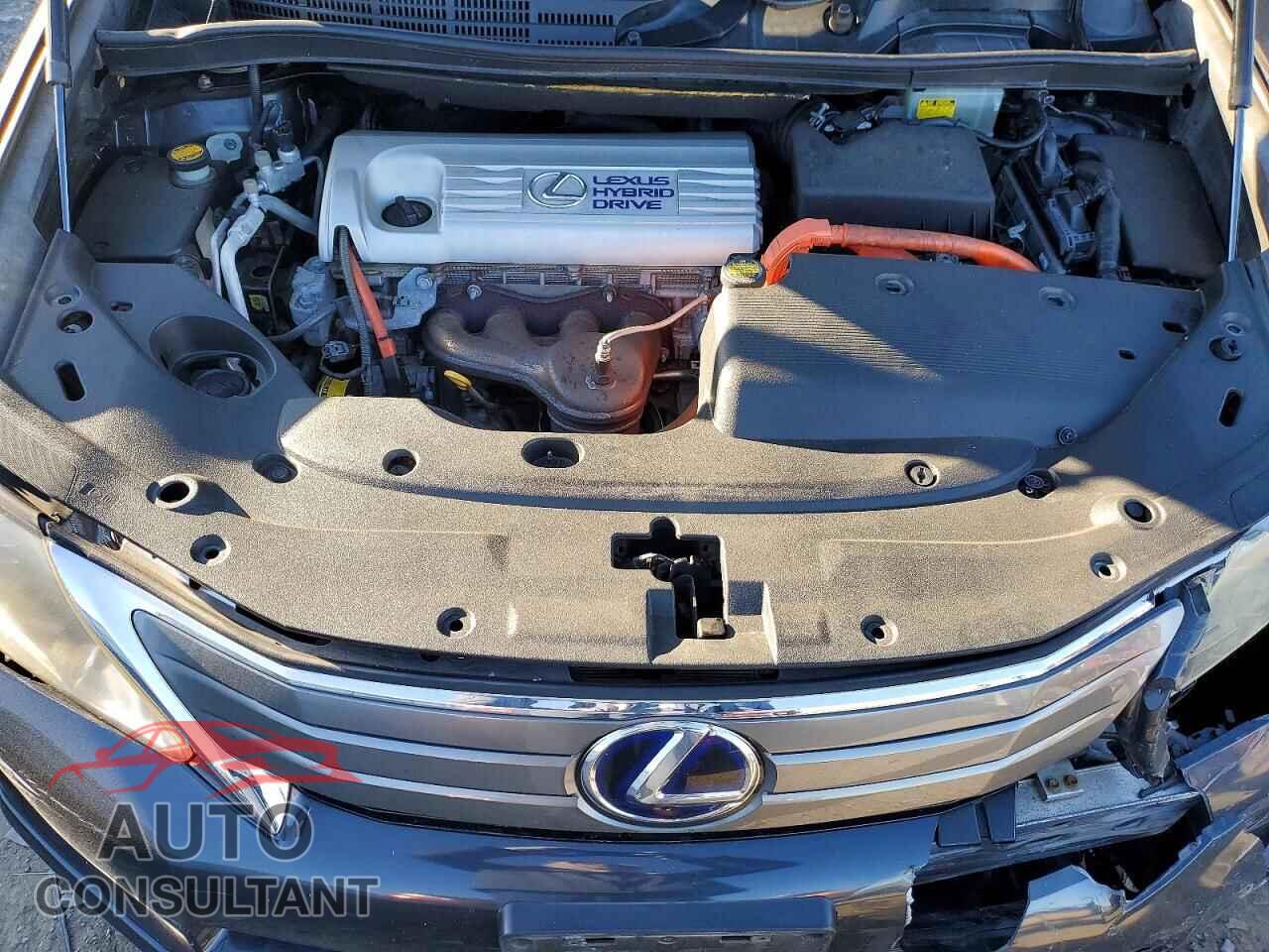 LEXUS HS 2010 - JTHBB1BA2A2010953