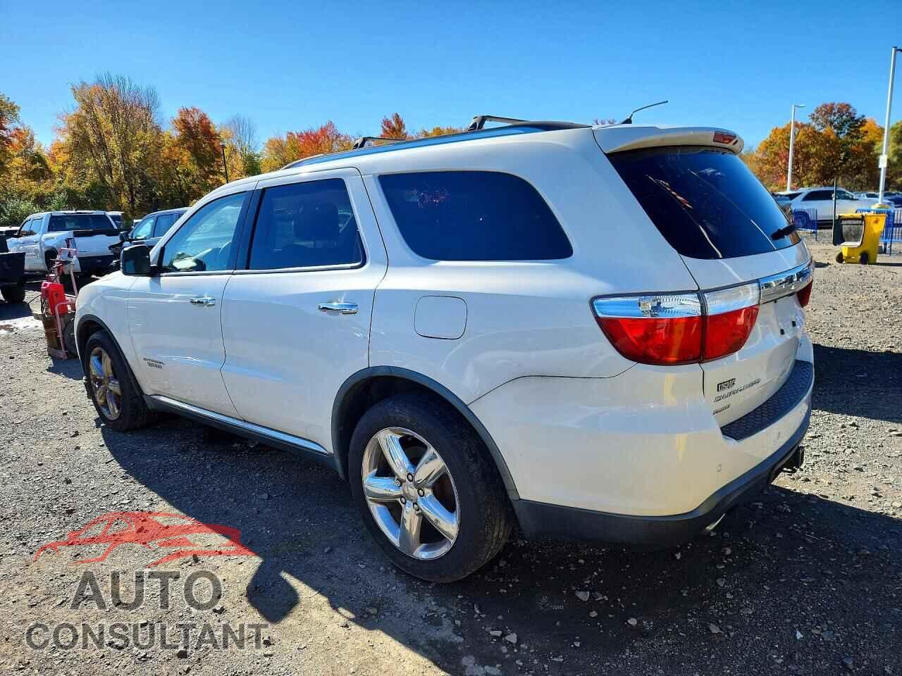DODGE DURANGO 2011 - 1D4SE5GT4BC695613
