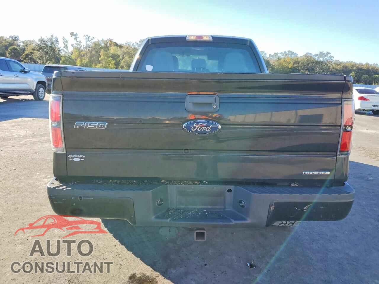 FORD F-150 2013 - 1FTFX1CF5DFD23216