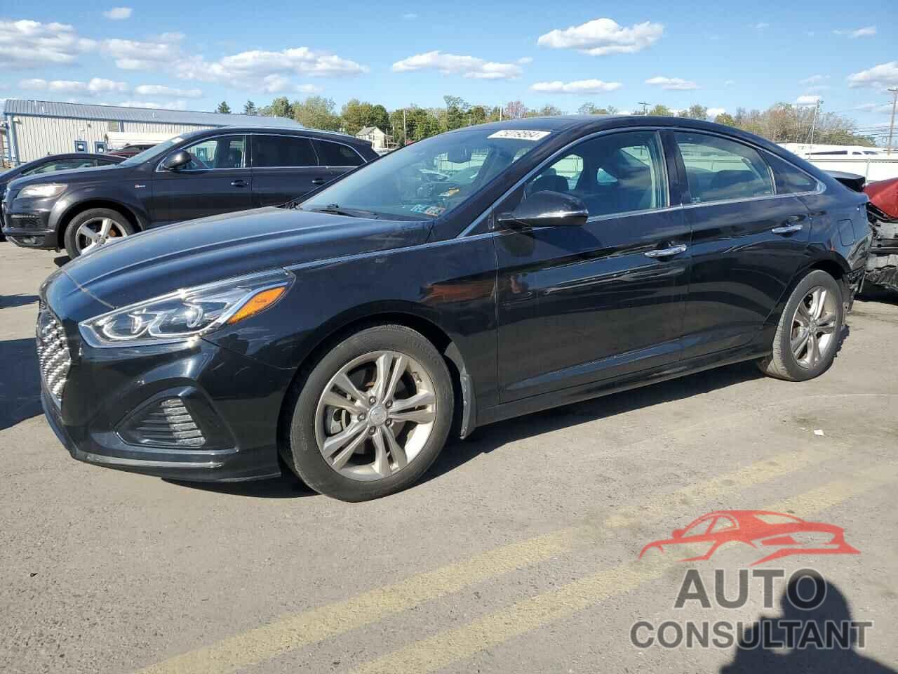 HYUNDAI SONATA 2019 - 5NPE34AF0KH808751
