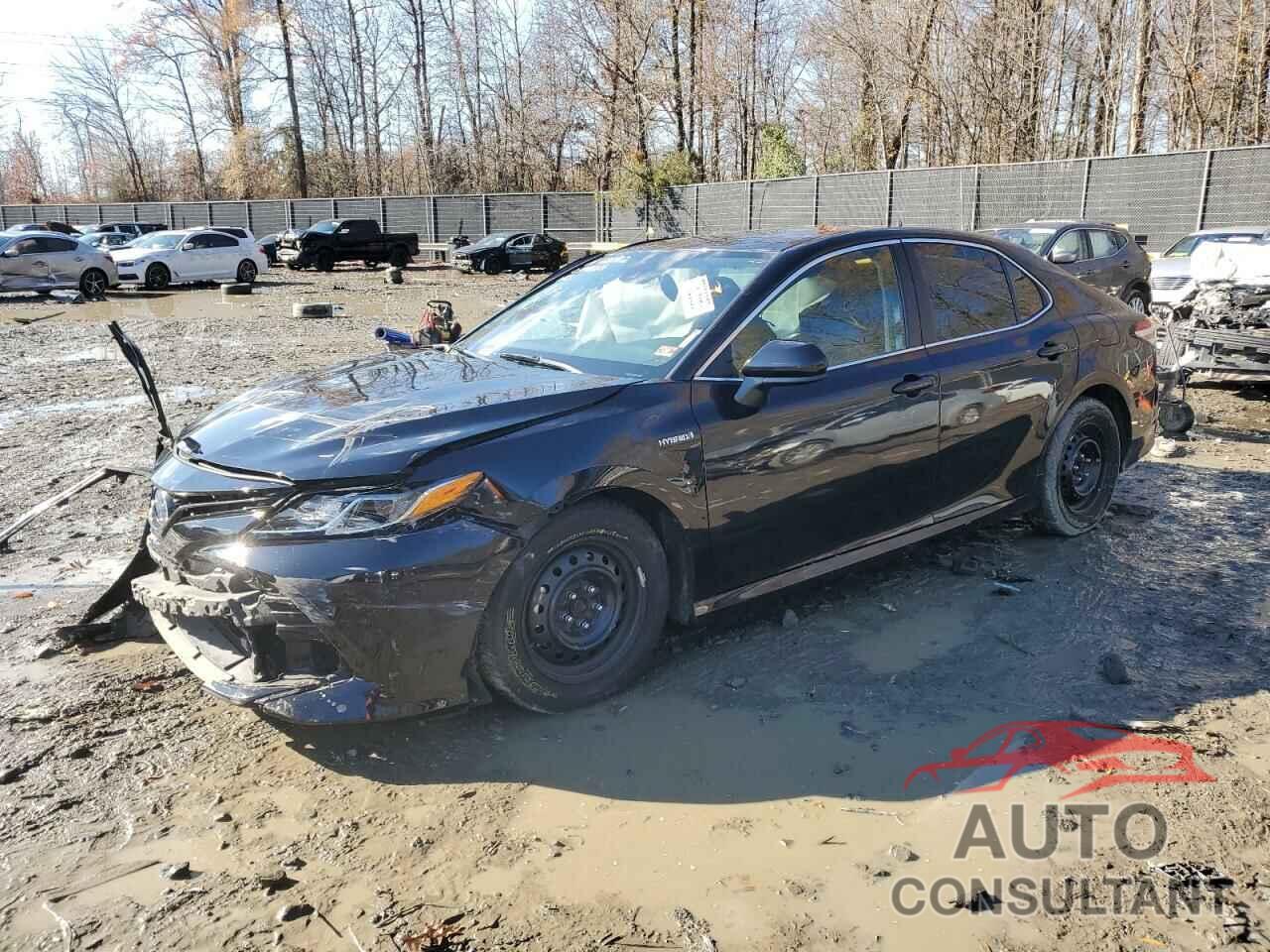 TOYOTA CAMRY 2019 - 4T1B31HK1KU509954