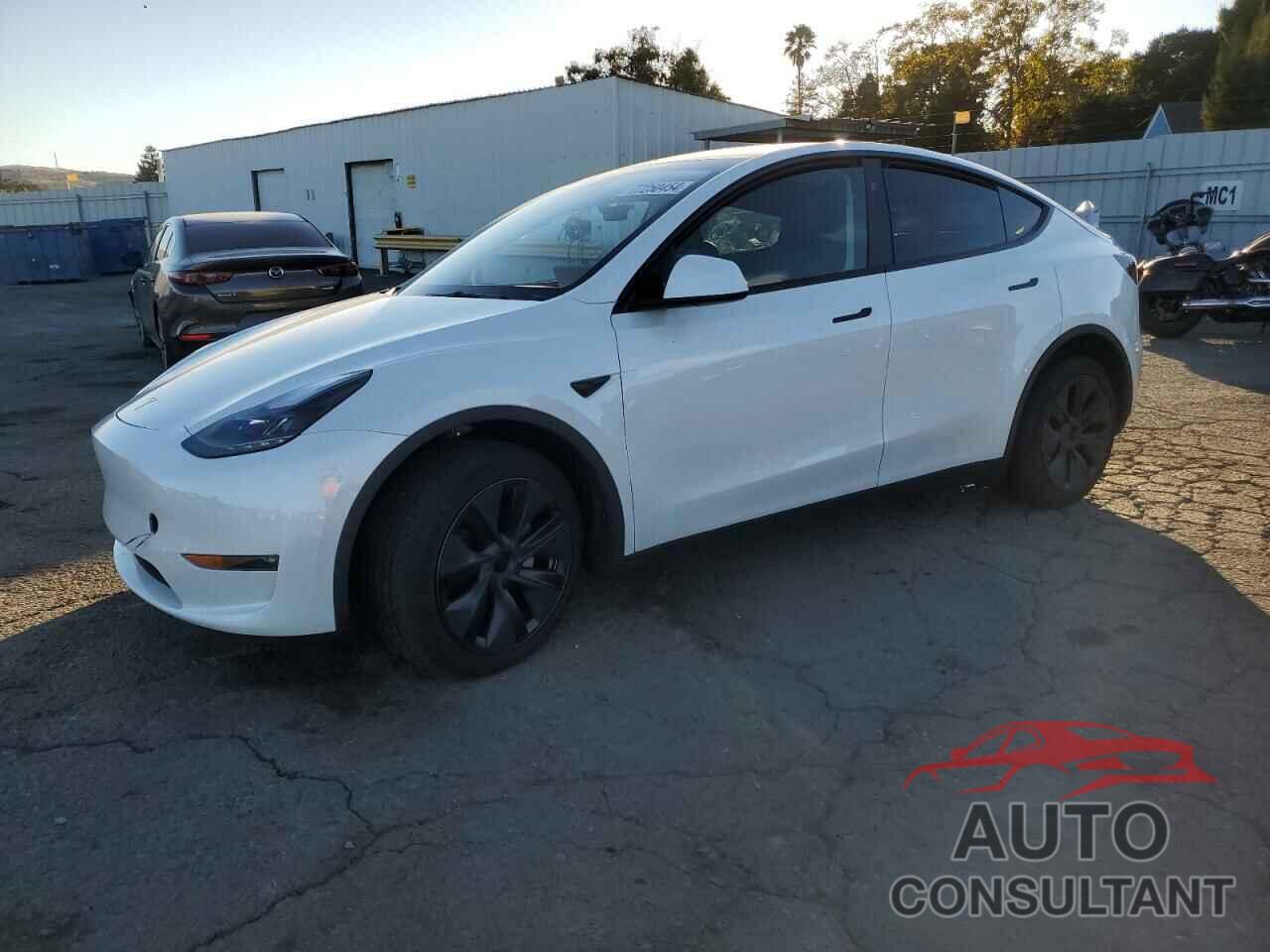 TESLA MODEL Y 2024 - 7SAYGAEE1RF103678