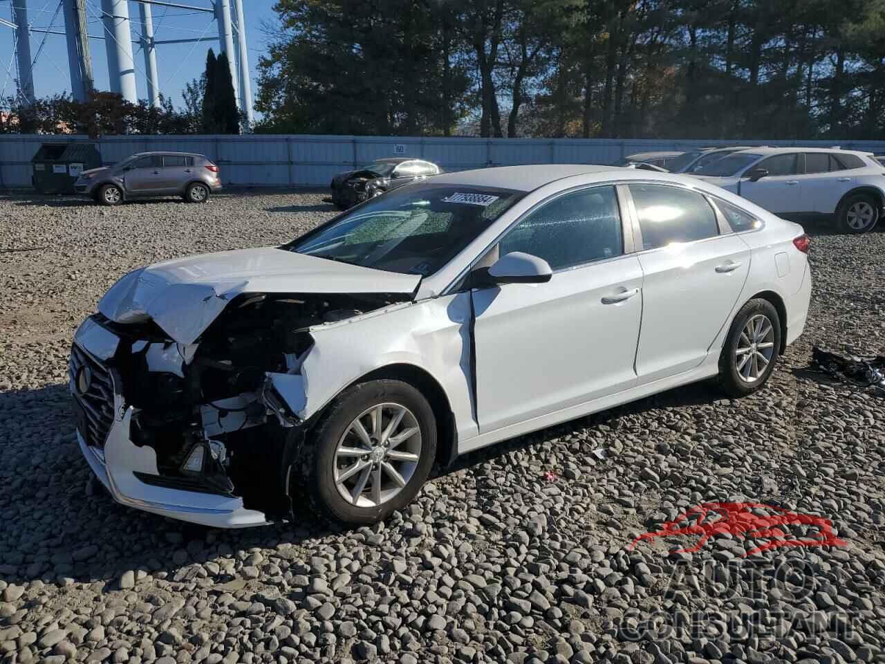 HYUNDAI SONATA 2019 - 5NPE24AF2KH797609