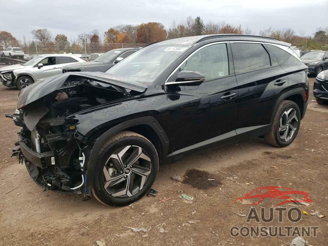 HYUNDAI TUCSON 2024 - 5NMJECDE3RH361880