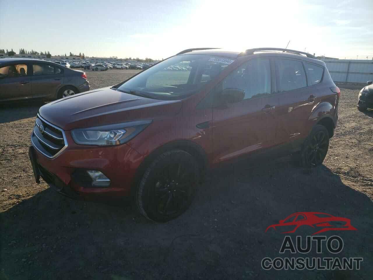 FORD ESCAPE 2019 - 1FMCU0GD6KUB86757